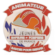 INSIGNE METAL ANIMATEUR JSP DE FRANCE