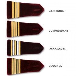 PATTES D'EPAULE MEDECINS