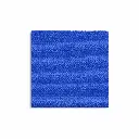 GSP0 Auxiliaire.webp