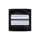 GSP10 Lieutenant.webp