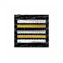 GSP13 Lieutenant Colonel.webp