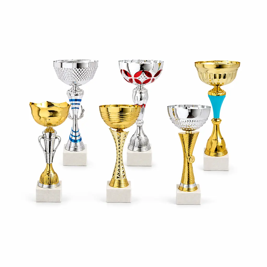 Lot de 6 coupes